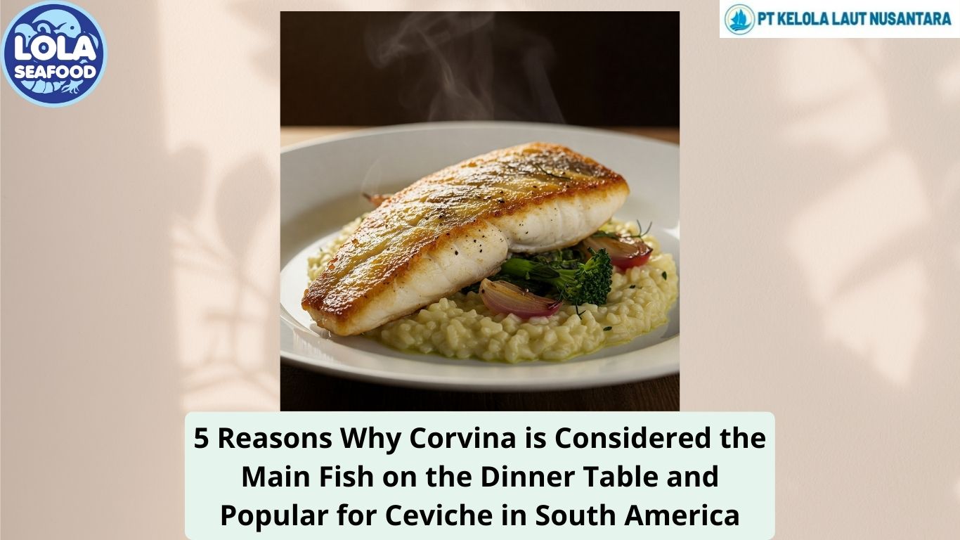 5 Reasons Why Corvina is Considered the Main Fish on the Dinner Table and Popular for Ceviche in South America